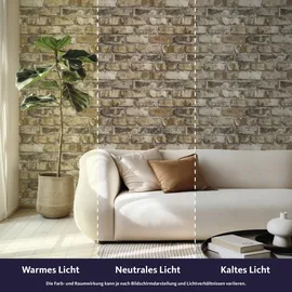 tesa rasch Vliestapete Clayton 6 m x 0,53 m 1 St Beige/Braun/Grau 371918