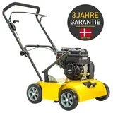 TEXAS Vertikutierer Benzin Rasenlüfter Moosentferner 208ccm B&S Pro Cut 460B