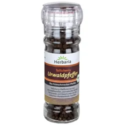 Tellicherry Urwaldpfeffer