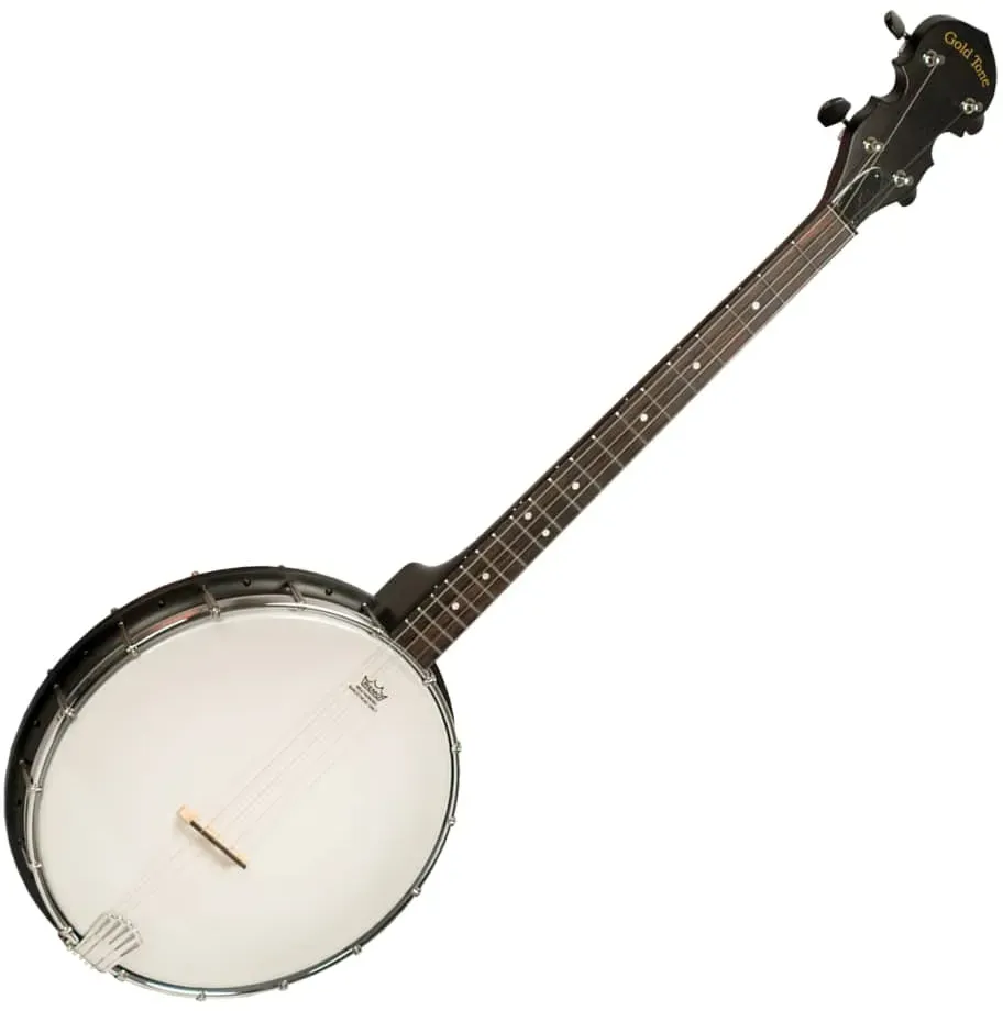 Gold Tone AC-4 Openback Tenor Banjo