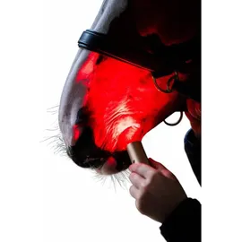 Horseware Ireland Therapiestab für LED-Rotlicht-Therapie Copper Onesize