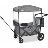 FableKids Bollerwagen Leo X2 Plus, faltbar, 80kg Traglast, 113 x 68 x 130cm (L/B/H), grau