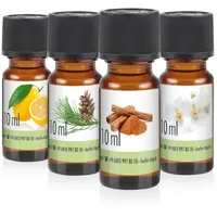 Höfer Chemie 4x 10 ml 4x Duftöl-Set 7