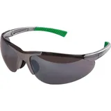Ekastu Safety Ekastu Schutzbrille DAYLIGHT EN 166 Bügel silbergrau,Scheiben dunkelgrau,verspiegelt