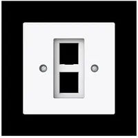 Busch-Jaeger Zentralscheibe m. Tragring 2561-02-44G
