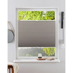 my home Plissee »LAHOLM« Lichtschutz ohne Bohren verspannt Fixmaß, Bestseller mit über 3000 4,5-Sterne-Bewertungen, Klemmträger my home taupe 130 cm