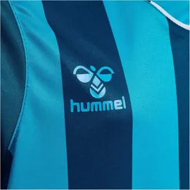 hummel hmlCORE XK Striped Jersey S/S Kids, blue coral/blue danube 164