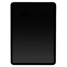 Apple iPad Pro 11" (4. Generation 2022) 256 GB Wi-Fi space grau