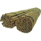 DIXIE STORE Bambusstangen Set Pflanzenstütze 100 Stück 120 cm 12/14 mm