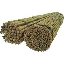 DIXIE STORE Bambusstangen Set Pflanzenstütze 100 Stück 120 cm 12/14 mm