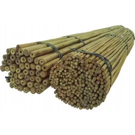 DIXIE STORE Bambusstangen Set Pflanzenstütze 100 Stück 120 cm 12/14 mm