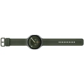 Samsung Galaxy Watch9 Silver 44 mm BT Sport Band Olive M/L