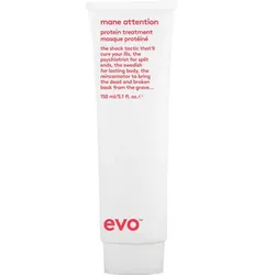 Evo Ritual Mane Attention Protein Treatment 150 ml