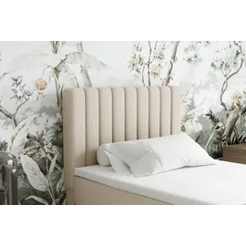 panda möbel Boxspringbett Everest, mit Topper - beige