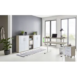BMG Möbel Büromöbel-Set »Tabor«, (Set, 5 tlg.), mit elektrisch höhenverstellbarem Schreibtisch,