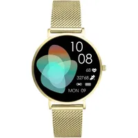 XCOAST Siona 2 Elegance Gold 