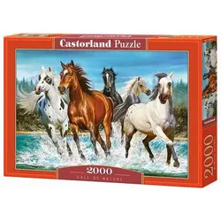 CASTORLAND C-200702-2 Call of Nature, Puzzle 2000 Teile