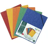 Exacompta 555410E DIN A4 Karton sort 5 St./Pack.