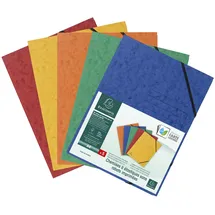 Exacompta 555410E DIN A4 Karton sort 5 St./Pack.