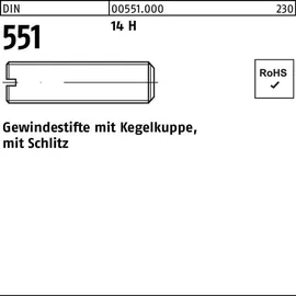 F. REYHER Nchfg. GmbH & Co. KG Gewindestift DIN 551 Kegelkuppe/Schlitz M6 x 40 100 Stück