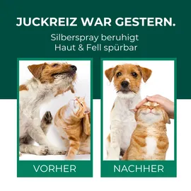 Silberkraft Kolloidales Silberspray für Haustiere 100 ml