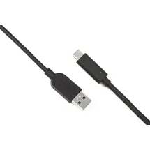 Huddly USB-C auf USB-A 0,6 m Schwarz