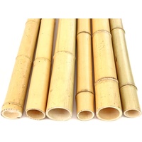 4er Set Bambusrohre 300cm mit dickem Durchmesser 9-10cm, gelb Gebleicht - XL Bambusstange Moso 3m lang (BAYS3009)