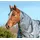 Bucas Smartex Turnout Combi Neck 300g L Grau