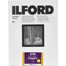 Ilford MG RC DL 25M 18x24