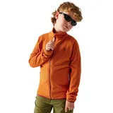 Dare 2b Switch Out Mid Fleece Burnt Orange 164