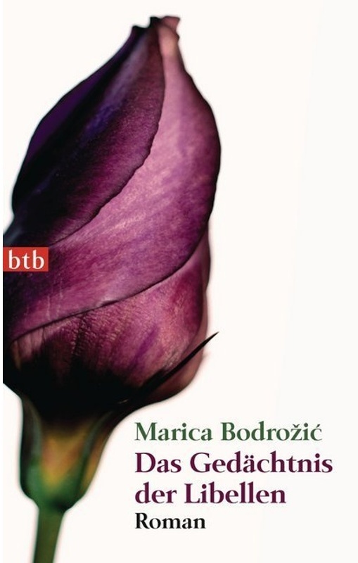 Das Gedächtnis Der Libellen - Marica Bodrozic, Taschenbuch