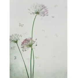 Frank-Flechtwaren Tischläufer Allium,