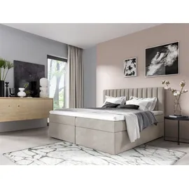 Fun Möbel Boxspringbett Schlafzimmerbett LINNEA 200x220cm Stoff Beige inkl. Bettkasten
