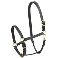 Waldhausen Lederhalfter Robust Pony Schwarz