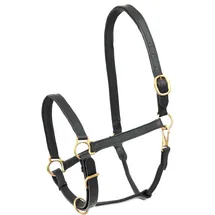 Waldhausen Lederhalfter Robust Pony Schwarz