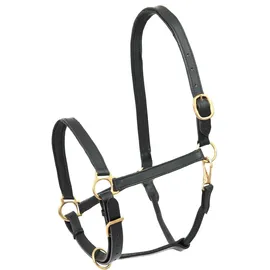 Waldhausen Lederhalfter Robust Pony Schwarz