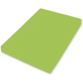 BASSETTI Spannbettlaken Jersey 180 x 200 - 200 x 220 cm Kiwi