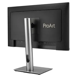 Asus ProArt PA249CGV 24"