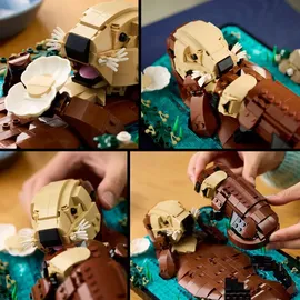 LEGO Ideas Schwimmende Otter 21366