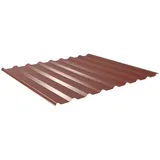 Trapezblech 20/1100 | Dach | Anti-Tropf 2400 g/m2 | Stahl 0,63 mm | 25 μm Polyester | 8012 - Rotbraun