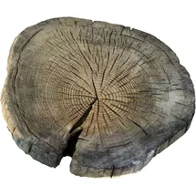 Ehl Trittstein Baumscheibe Holzoptik Natur Ø 25 - 40 cm x 4,5 cm