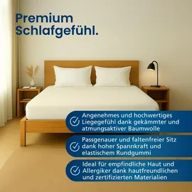AM Qualitätsmatratzen Spannbettlaken Baumwolle-Jersey 180 x 200 cm creme