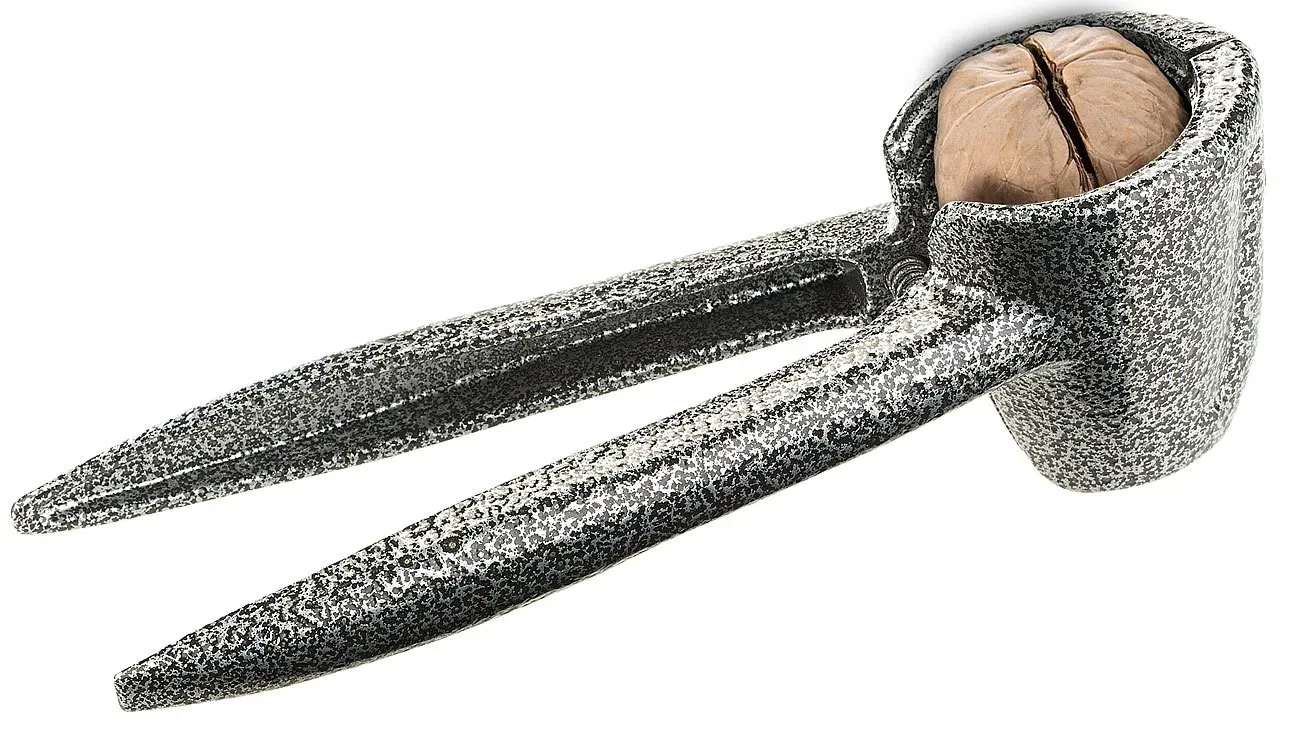 rosenstein shne nussknacker