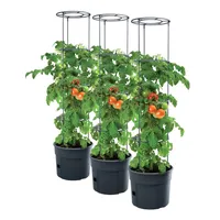 Prosperplast 3X Tomatenpflanze Pflanzkübel - 392 x 1530 mm