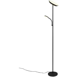 Trio Specter 17 + 4,5 W 178 cm schwarz