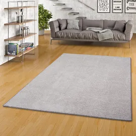 Snapstyle Snapstyle, Luxus Soft Velours Teppich, Shine Taupe 200x300cm