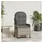 vidaXL Gartenstuhl 56 x 66 x 95 cm grau 1 St.
