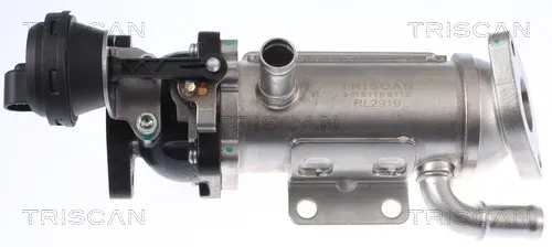 TRISCAN Kühler, Abgasrückführung 881325101 für Opel Vaughall NISSAN RENAULT