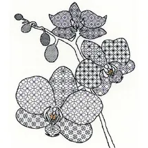 Bothy Threads Blackwork Kreuzstich-Set Orchidee, 27x33cm, XBW2, Zählmuster