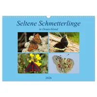 Calvendo Seltene Schmetterlinge in Deutschland (Wandkalender 2026 DIN A3